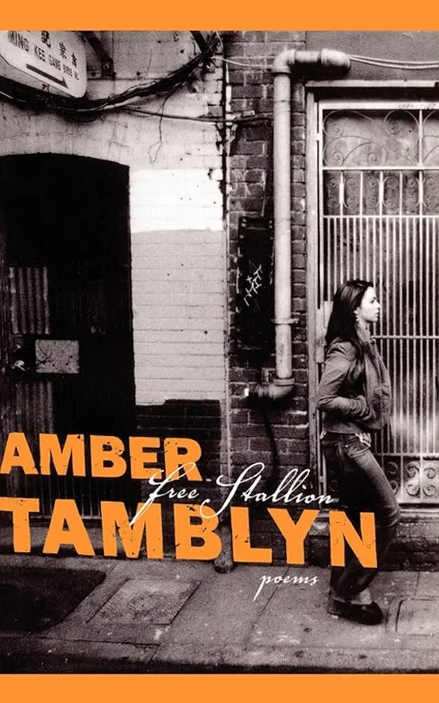 ambertamblyn_freestallion_bookcover.jpg