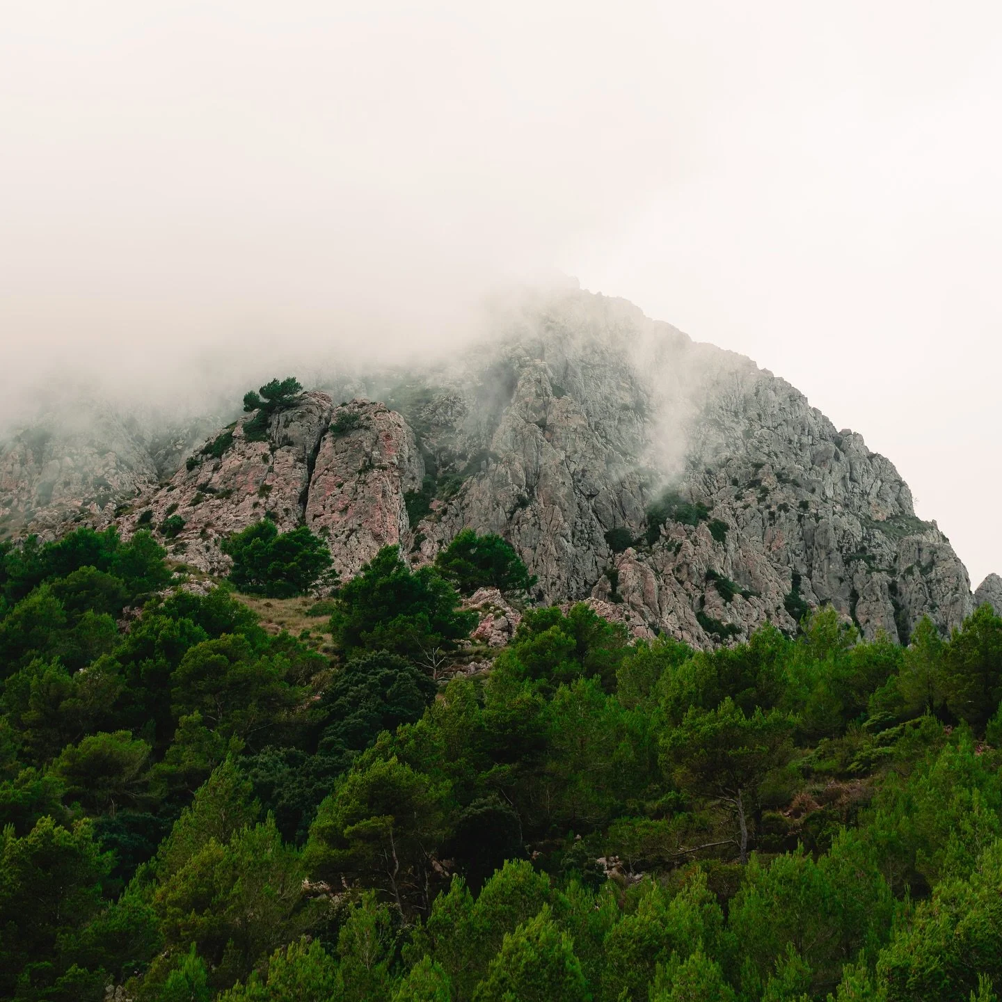 Ｃａｎ＇ｔ　ｓｅｅ　ｔｈｅ　ｆｏｒｅｓｔ　ｆｏｒ　ｔｈｅ　ｆｏｇ 🍂

#mallorca #photoshoot #photographer #sonyalpha #mallorca2025 #puig #mountain #mountains