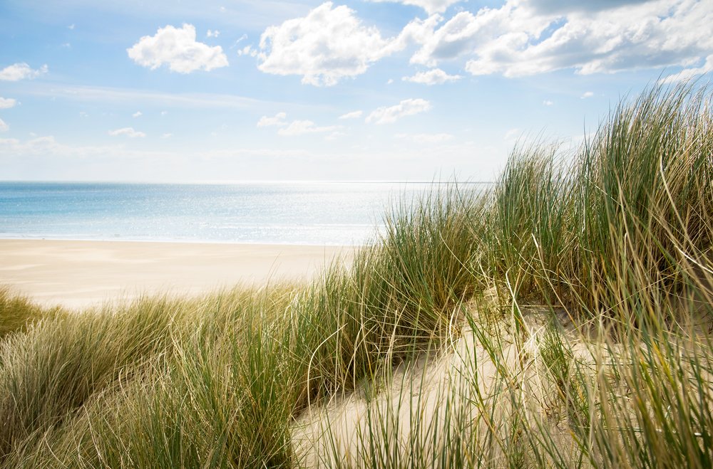 VETIVER BEACH.jpg