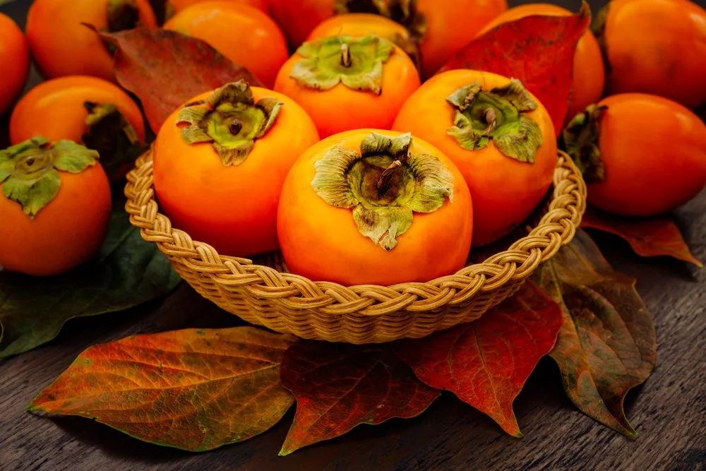 AUTUMN PERSIMMON.jpg