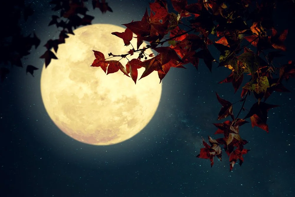 OCTOBER MOON.jpg
