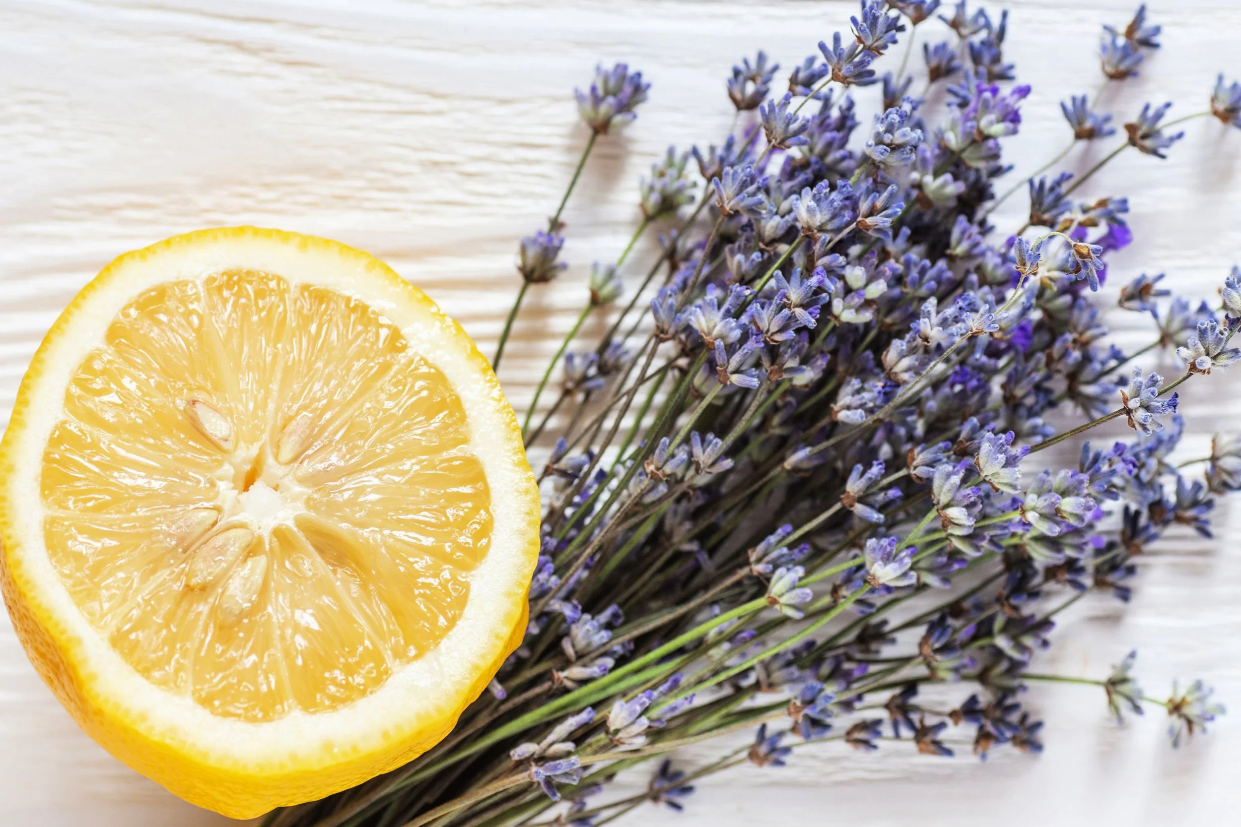 LEMON & LAVENDER.jpg