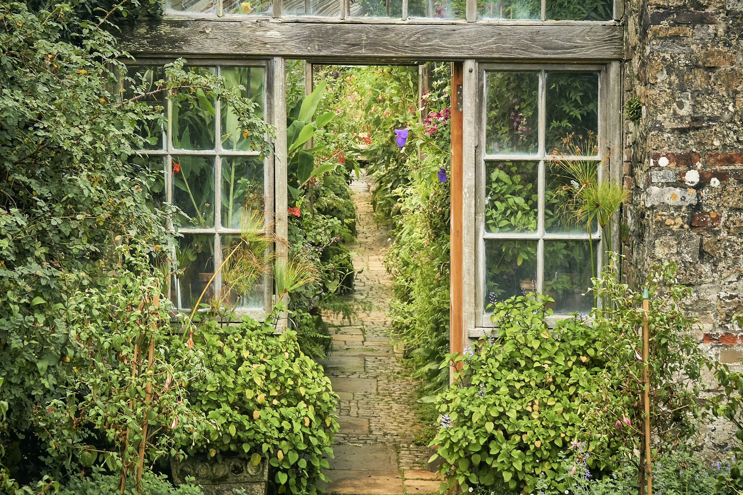 GREENHOUSE.jpg