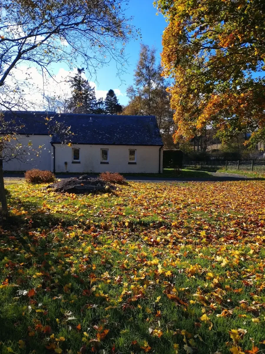 A white house with a dark roof surrounded by trees with colorful autumn leaves. The ground is covered with fallen yellow, orange, and brown leaves. Clear blue sky with some clouds visible.