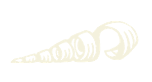 Cream-coloured line drawing of a carved curl of wood shaving in a spiral shape.
