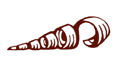 An umber-coloured line drawing of a shaving of wood.
