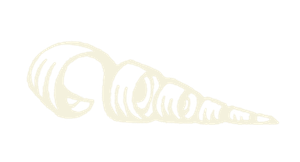 Cream-coloured line drawing of a carve curl of wood shaving.