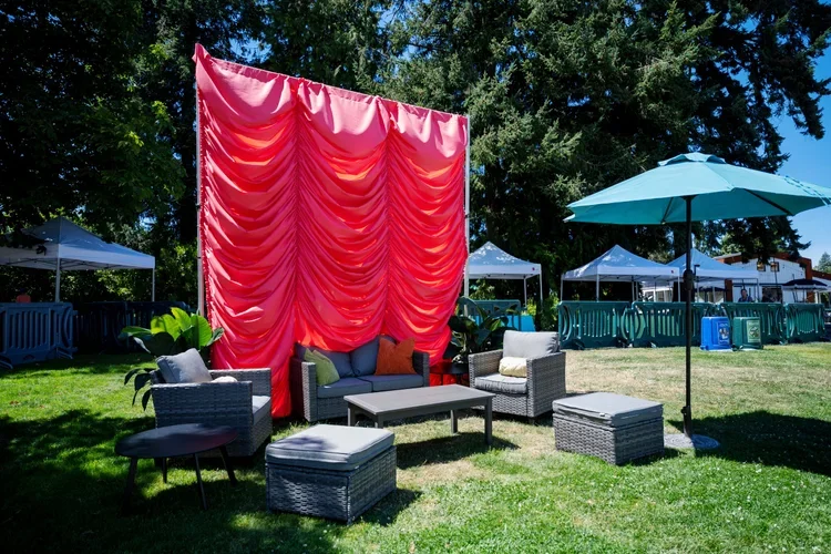 Austrian Curtain Panels