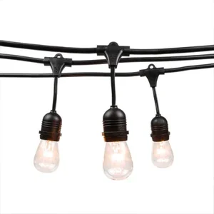 Cafe Lights