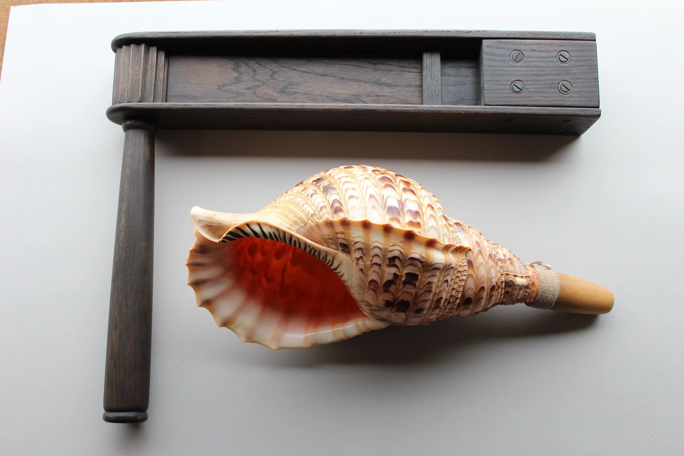 A large seashell with pink and orange hues and a spiraled, ridged surface rests on a white surface, with a dark wooden furniture piece nearby.