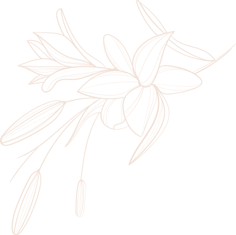 Outline of a botanical arrangement with leaves and seed pods.