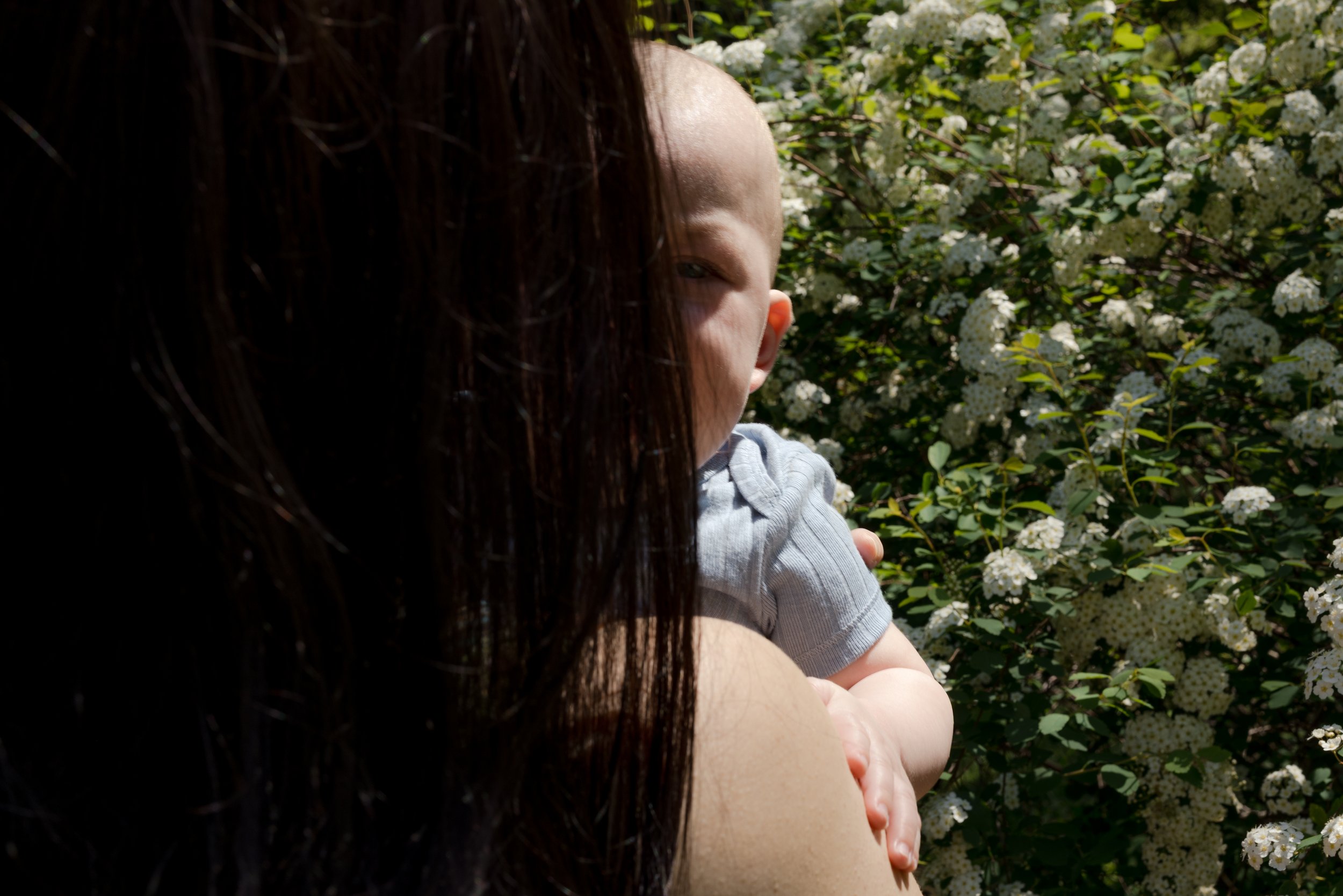 Natural Rebecca Diptych.jpg