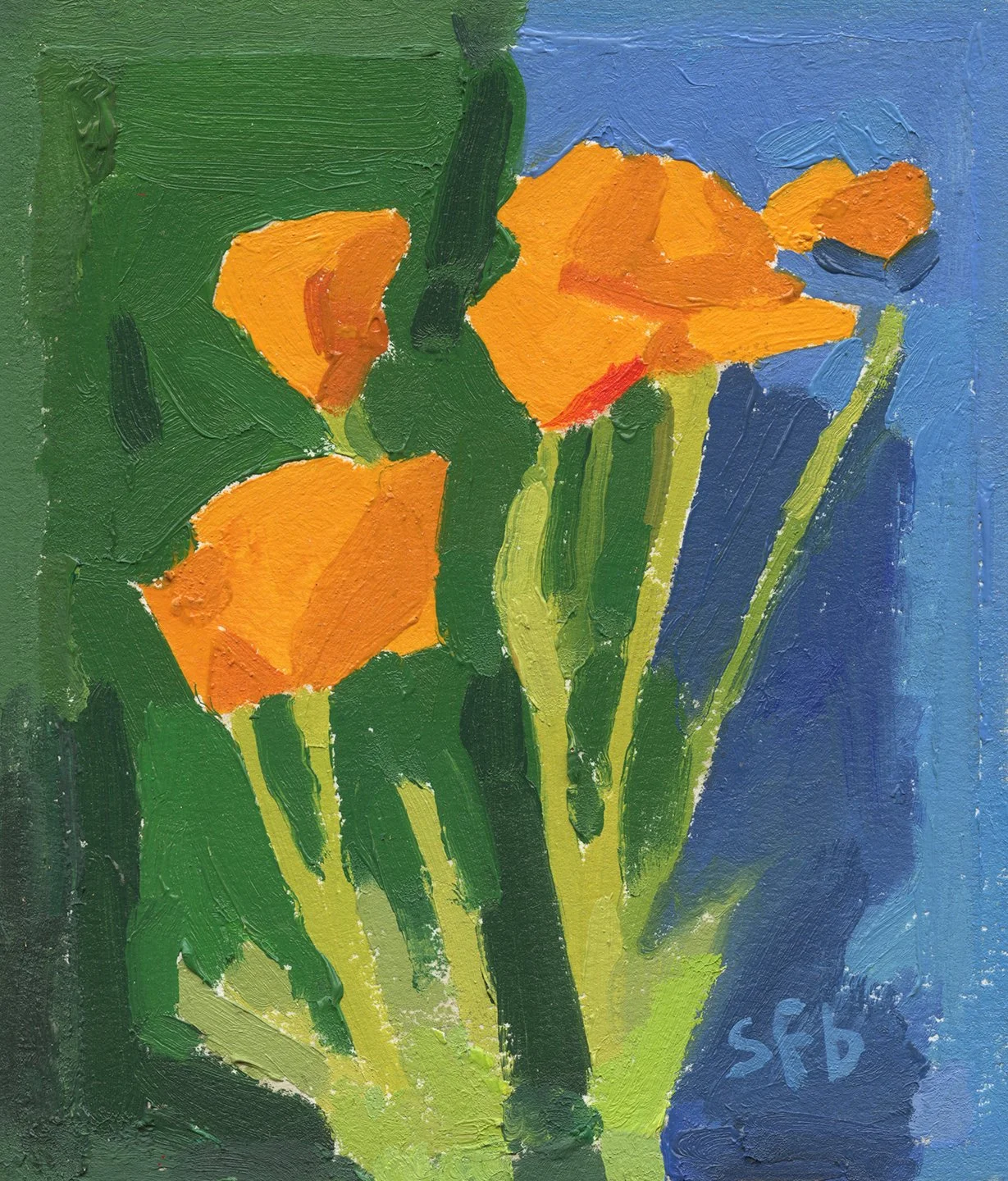 California Poppies