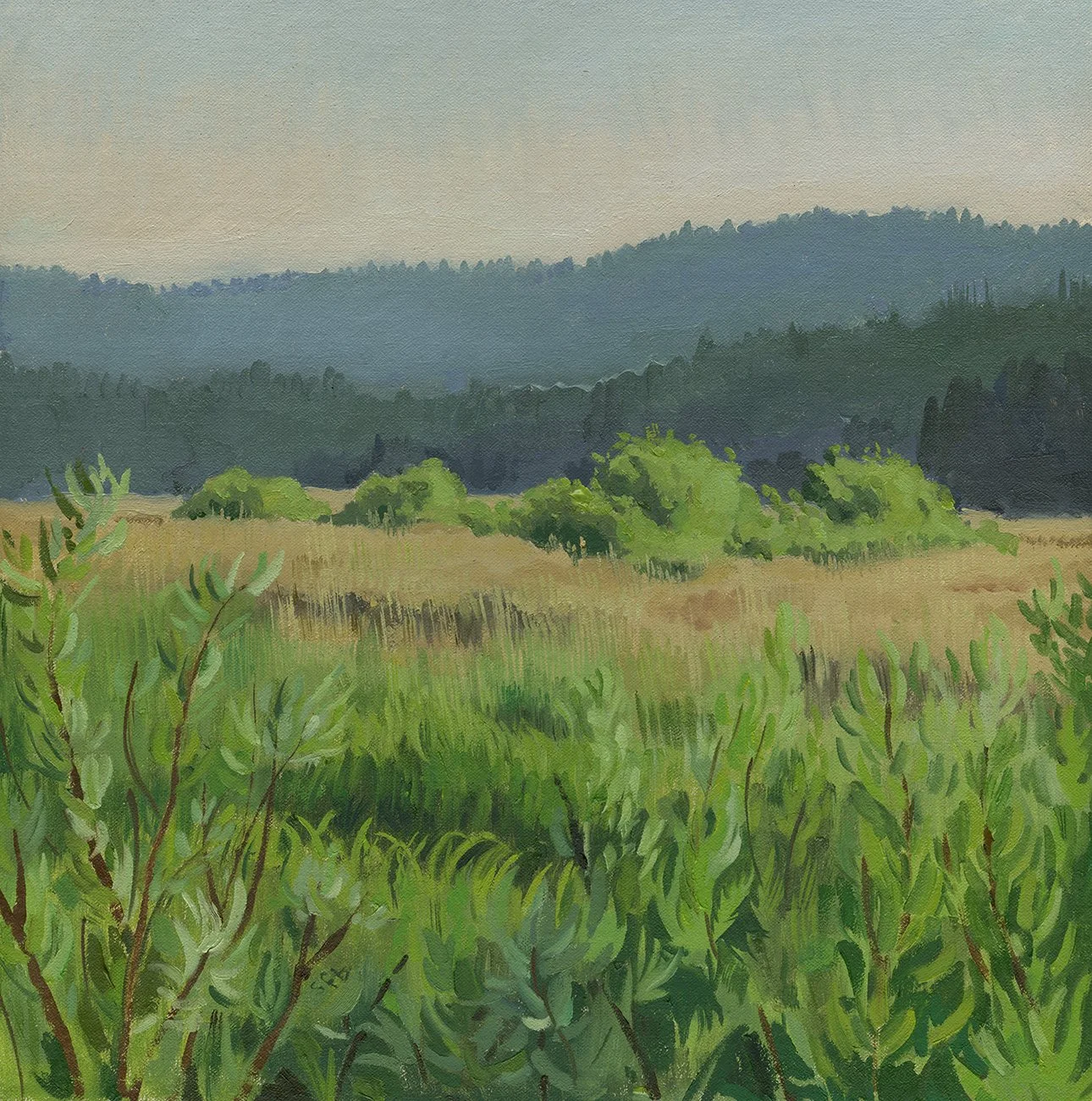 2024 July Bovine Beach web.jpg