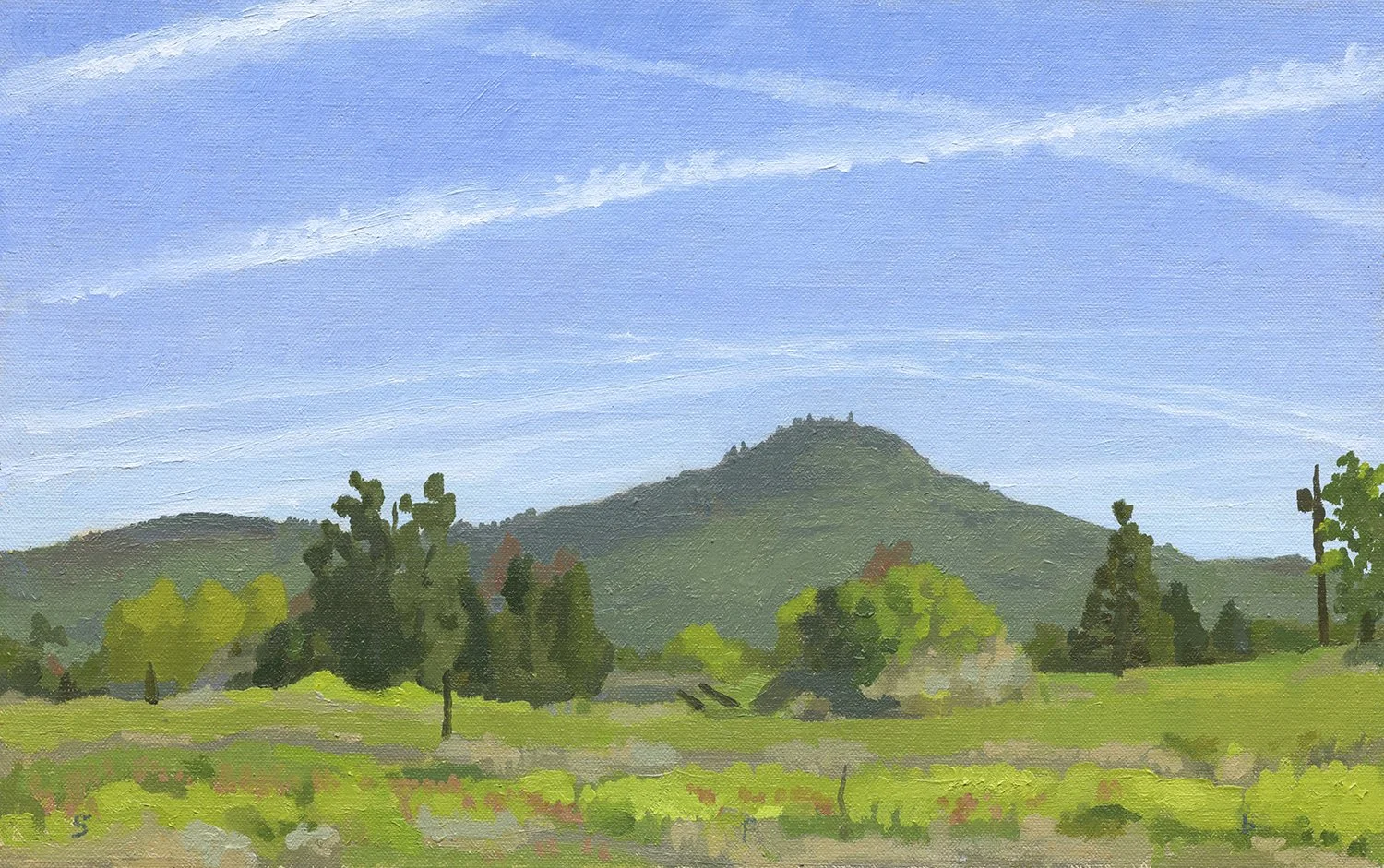 Spring on Spring Street web.jpg