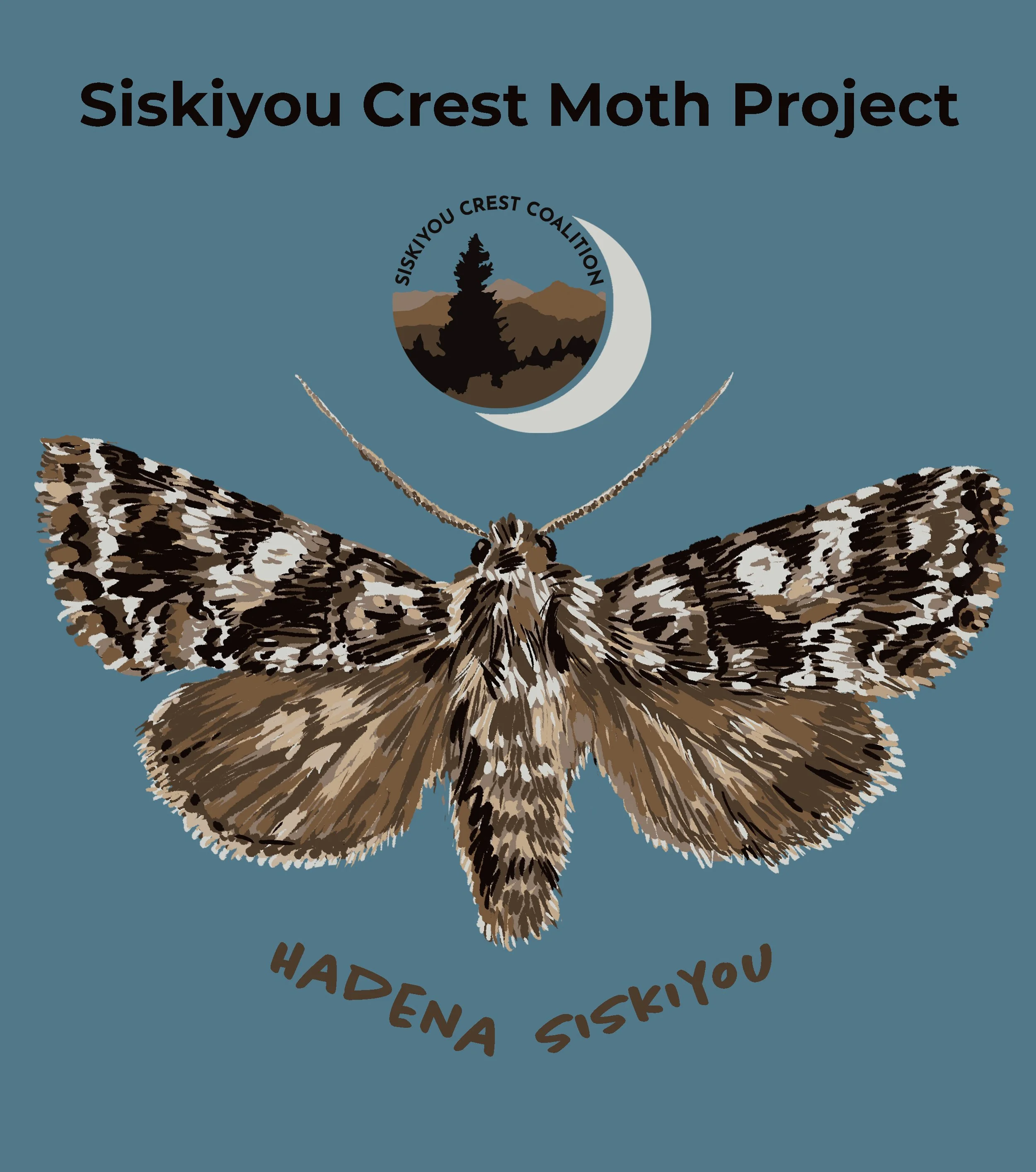Hadena Siskiyou - Siskiyou Crest Moth Project