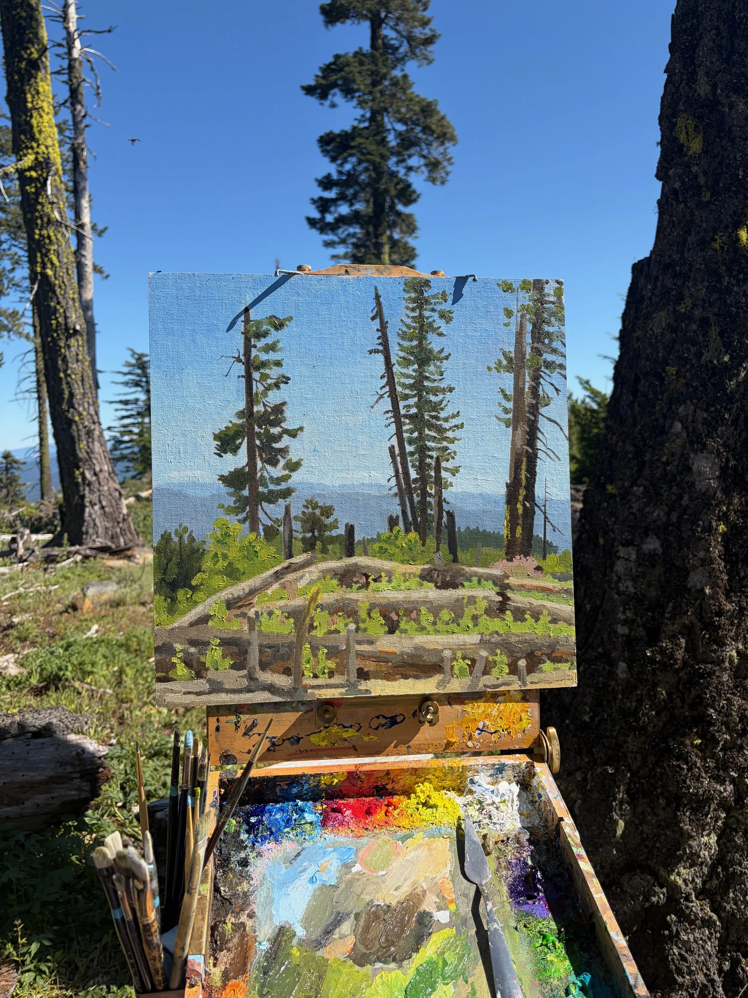 PRE-ORDER - 24 Years After the Grizzly Peak Fire