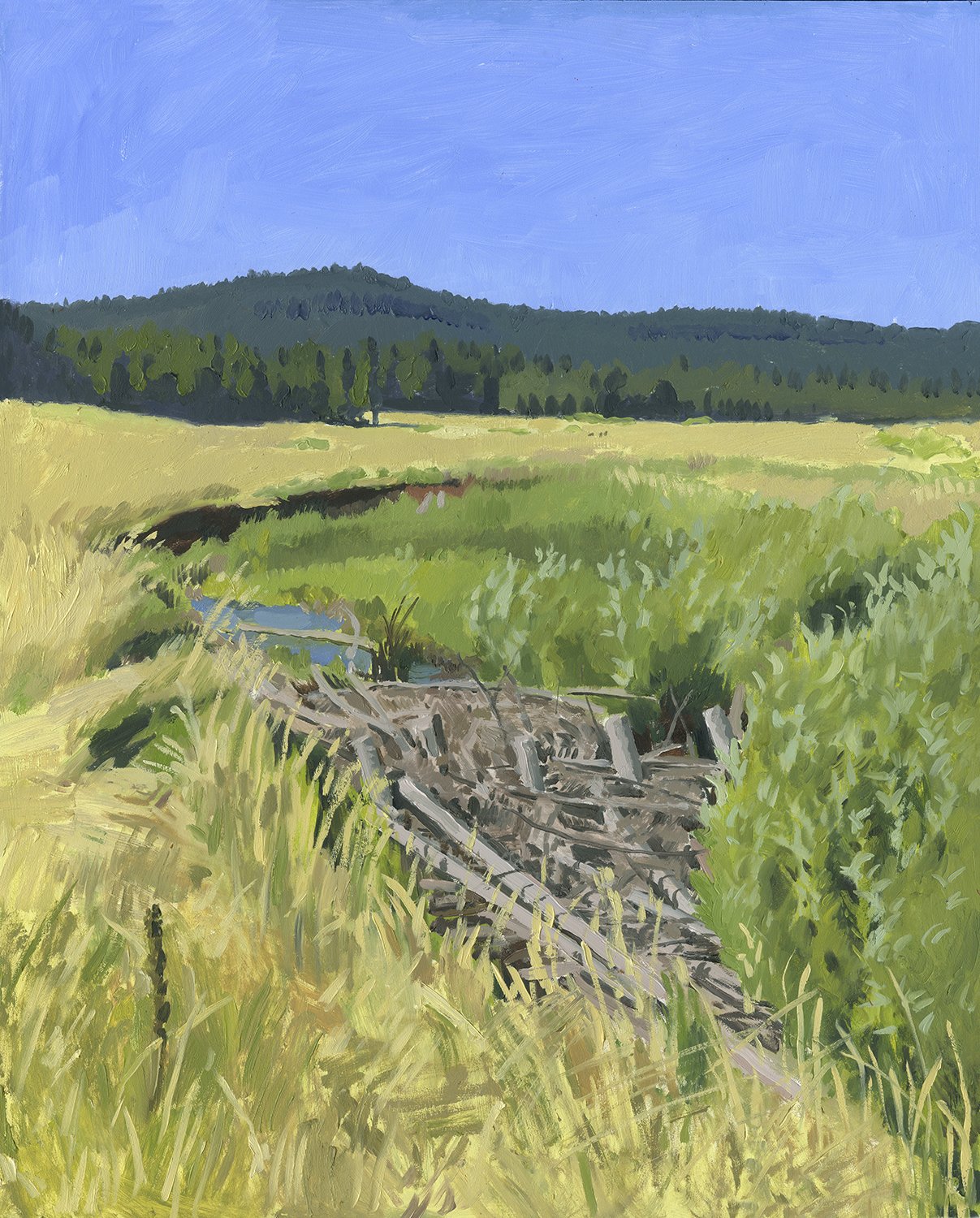 July 2023 Vesper Meadow web.jpg