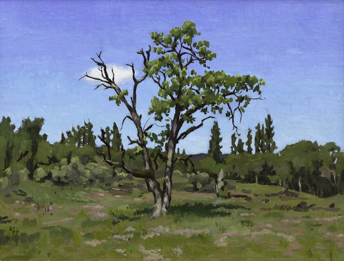 Oak Tree at Rogue River Preserve, sold