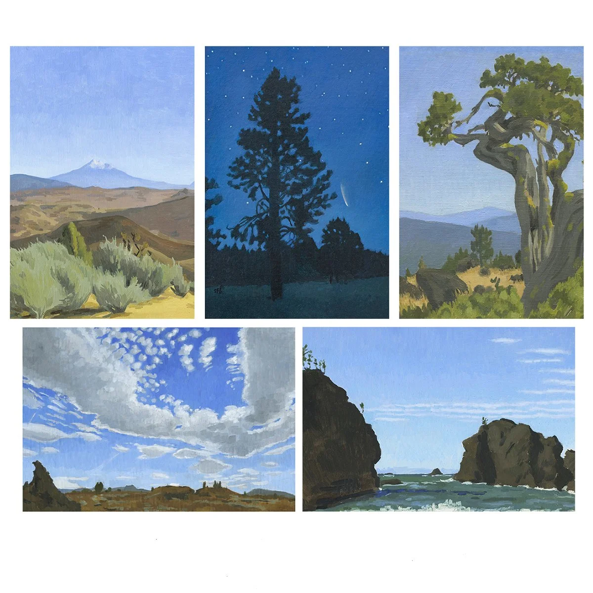 Nature Note Cards - Assorted Group of 5
