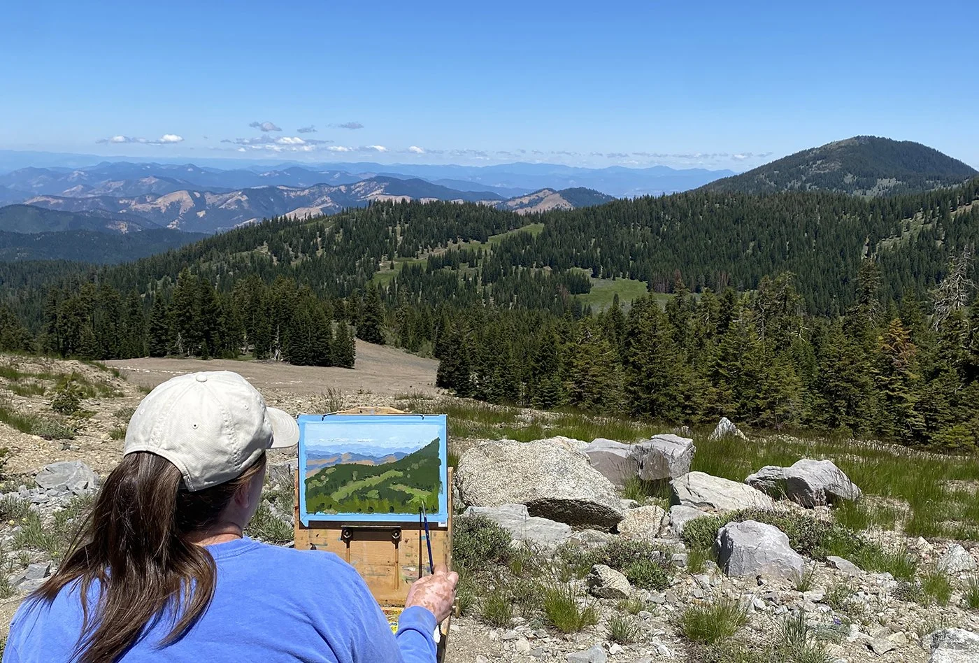 meridian overlook painitng wide web.jpg