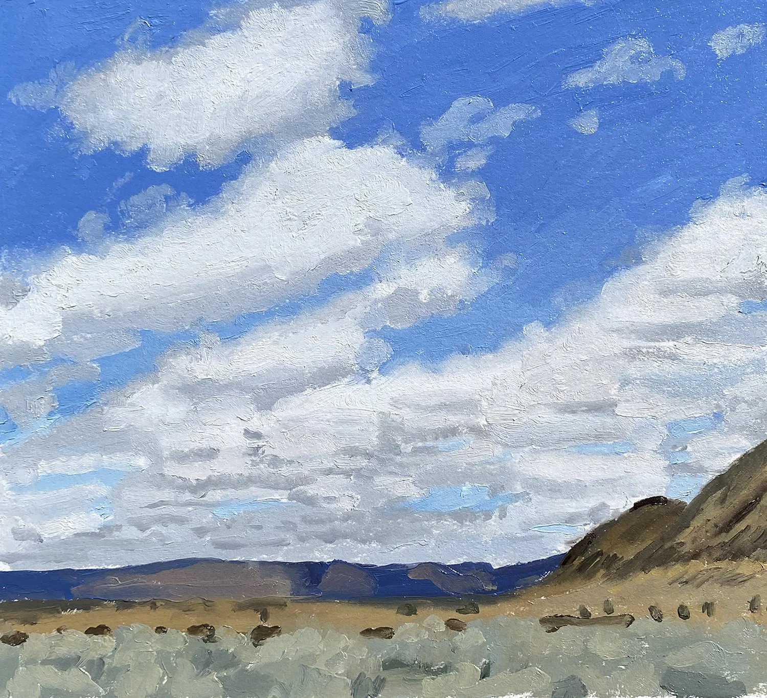 Summer Lake Clouds with Abert Rim web.jpg