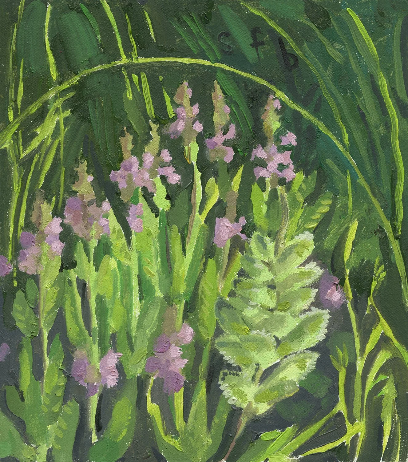 Bovine Beach 2025 Self Heal and Lupine Seeds web.jpg