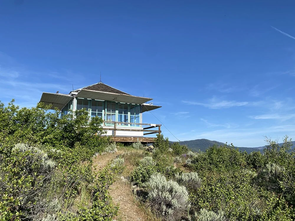 lookout horizontal.jpg