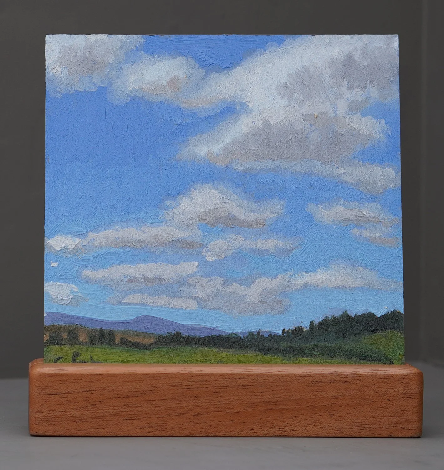 lakeview clouds in holder web.jpg