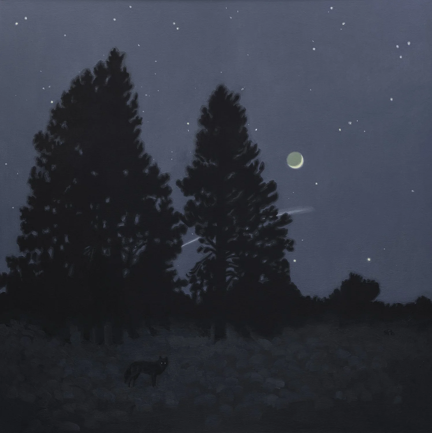 Nocturne with Wolf web.jpg