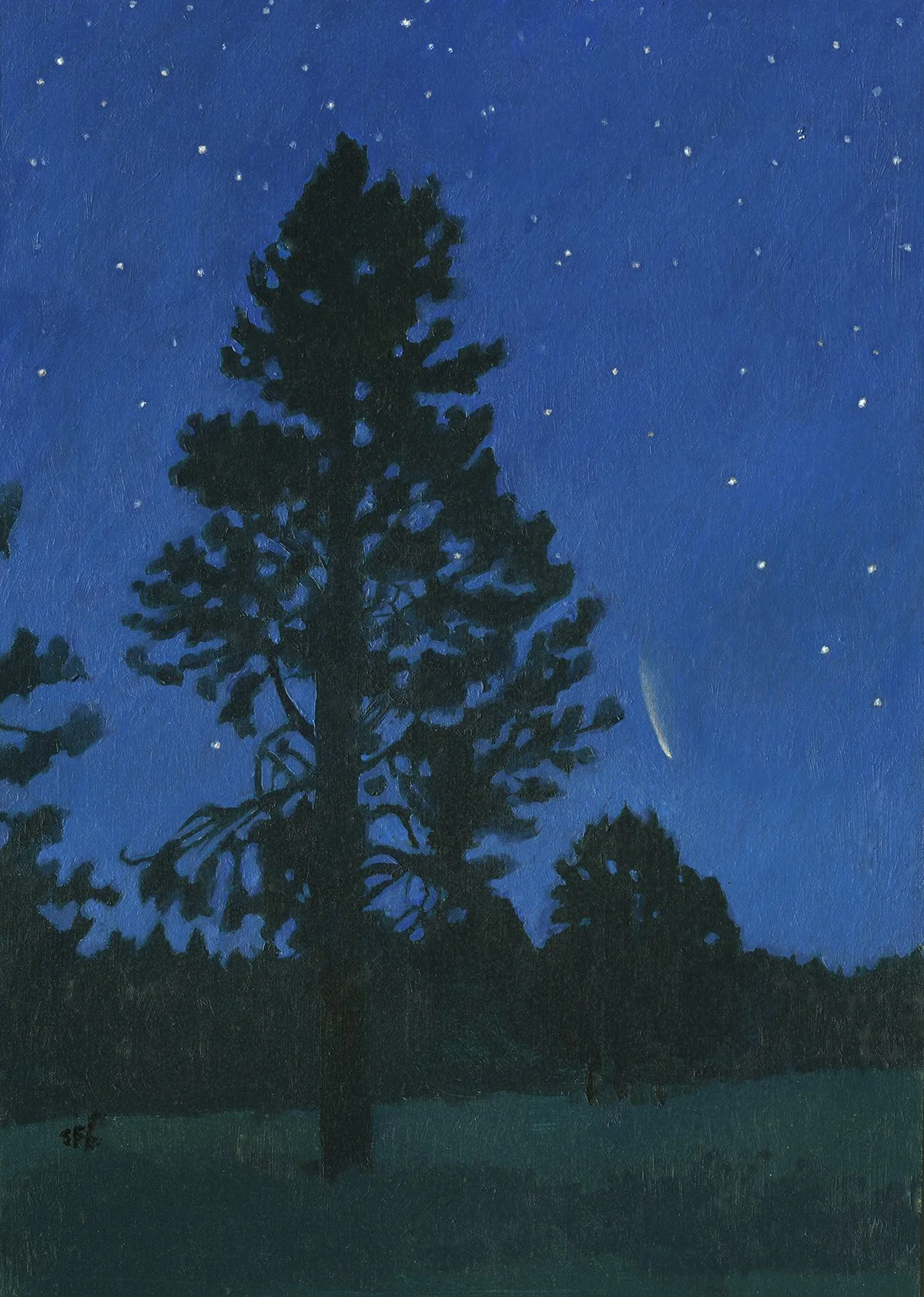 Neowise at Vesper Meadow July 2020 web.jpg