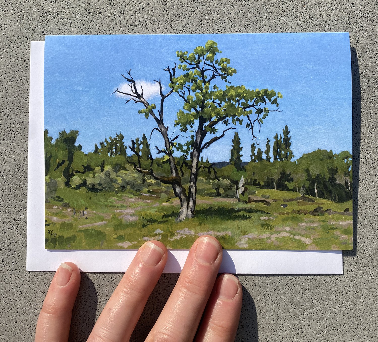Note Card - Oregon White Oak