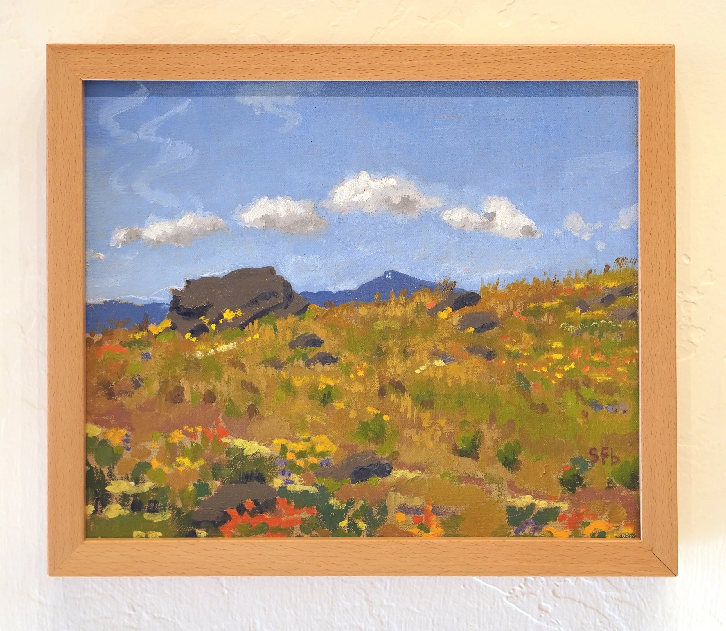 mt ashland from PCT with frame.jpg