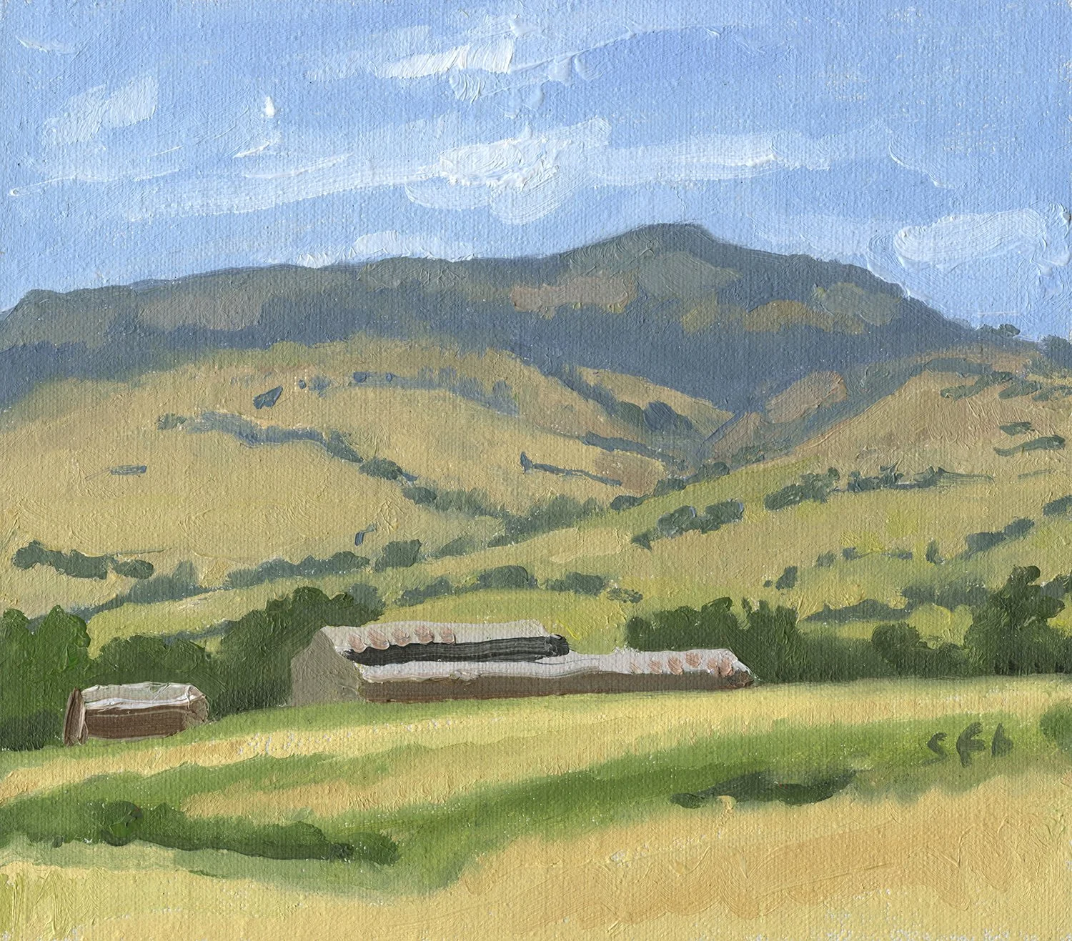 Grizzly Peak from the Rite Aid web .jpg