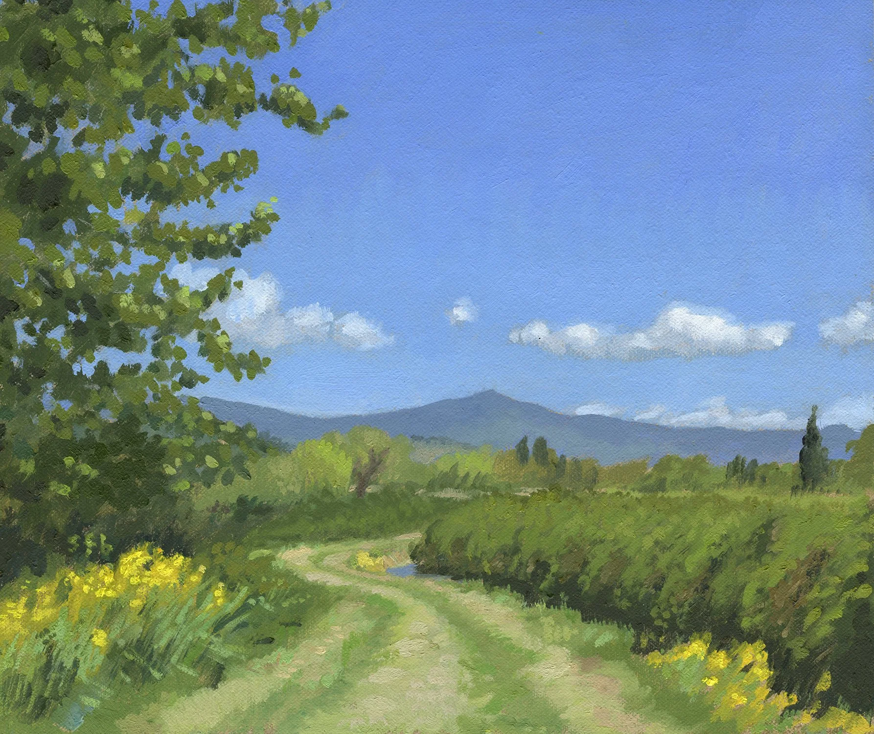 Ditch Trail VI web.jpg