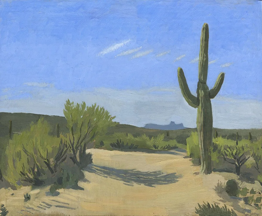 Saguaro Near Tucson, sold