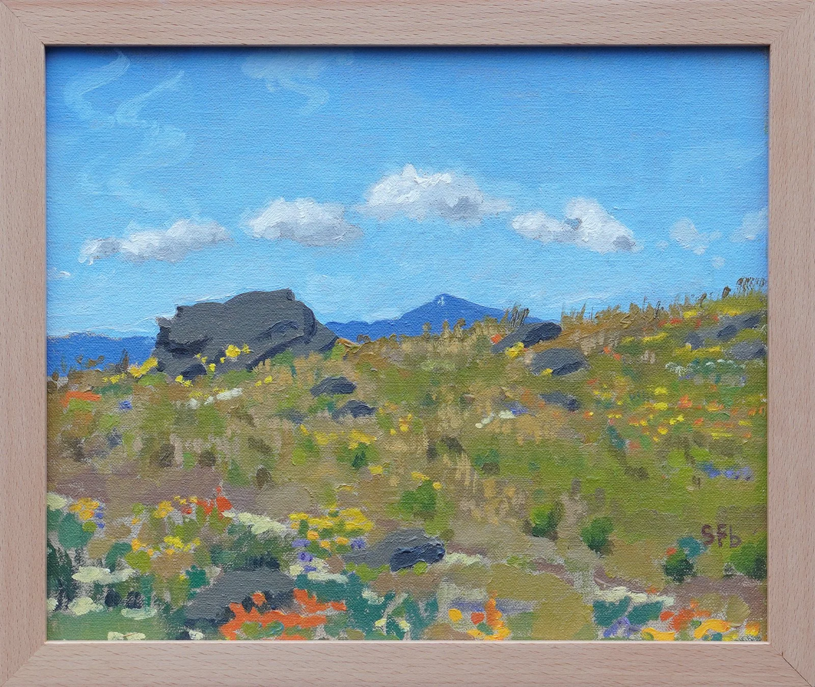 mt ashland from PCT beech frame web.jpg