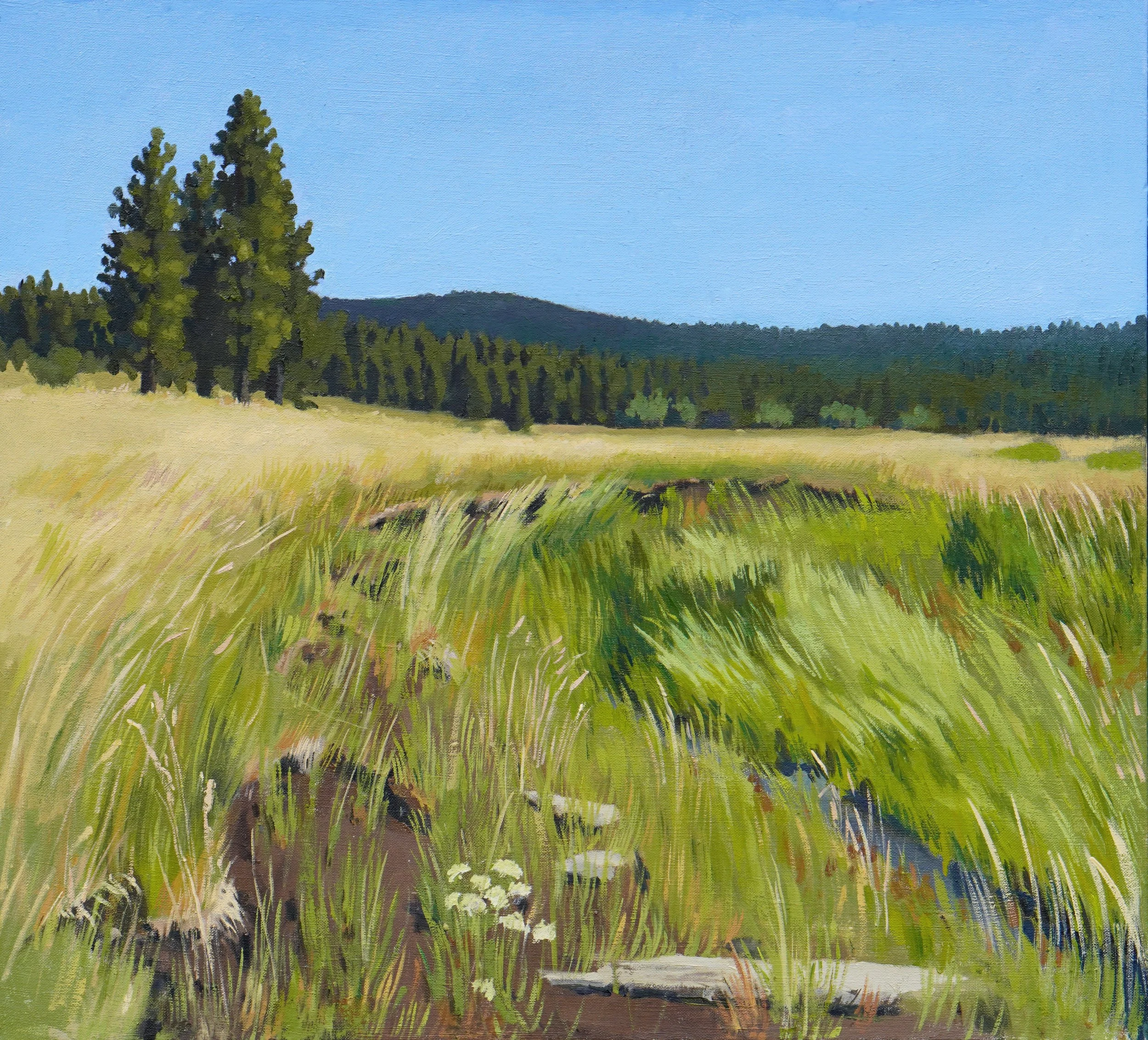 Vesper MEadow July 2022.jpg