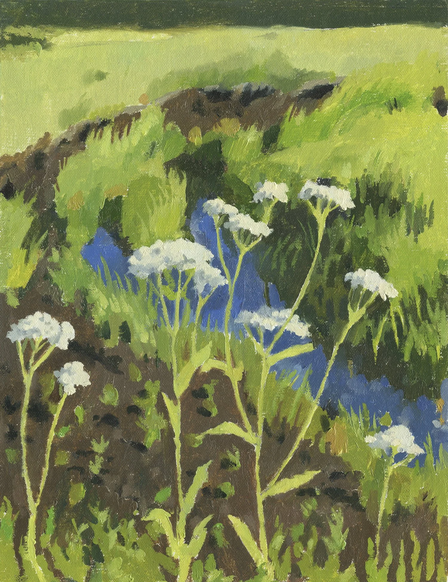 Vesper Meadow Bovine Beach 2020 web.jpg