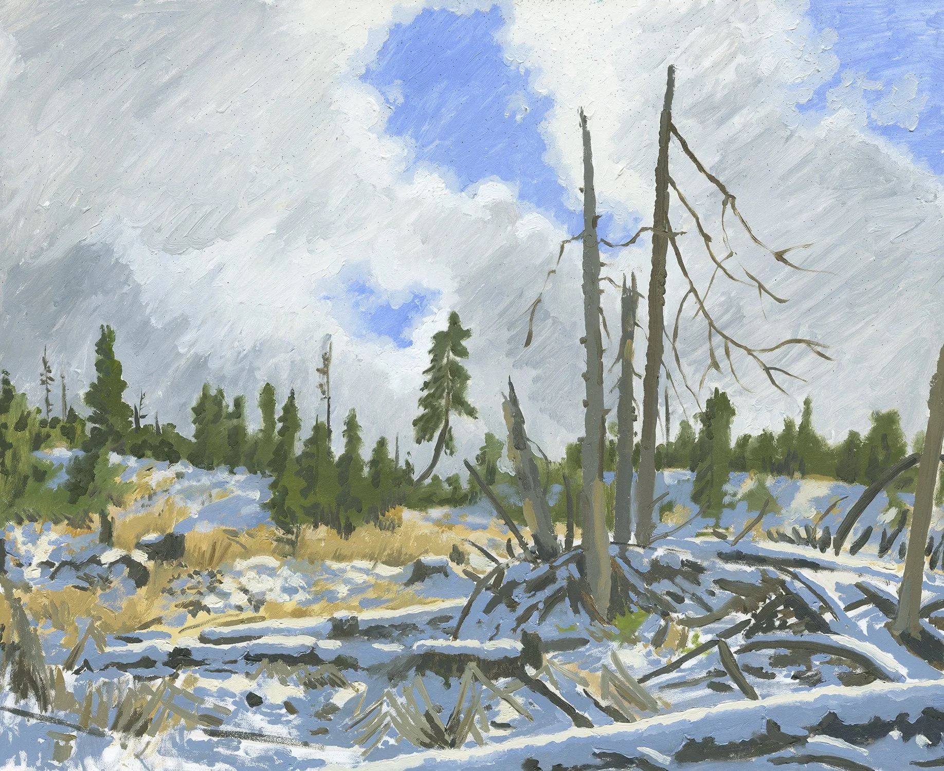 Clear Cut at Vesper Meadow, oil on panel, 16" x 20", not for sale