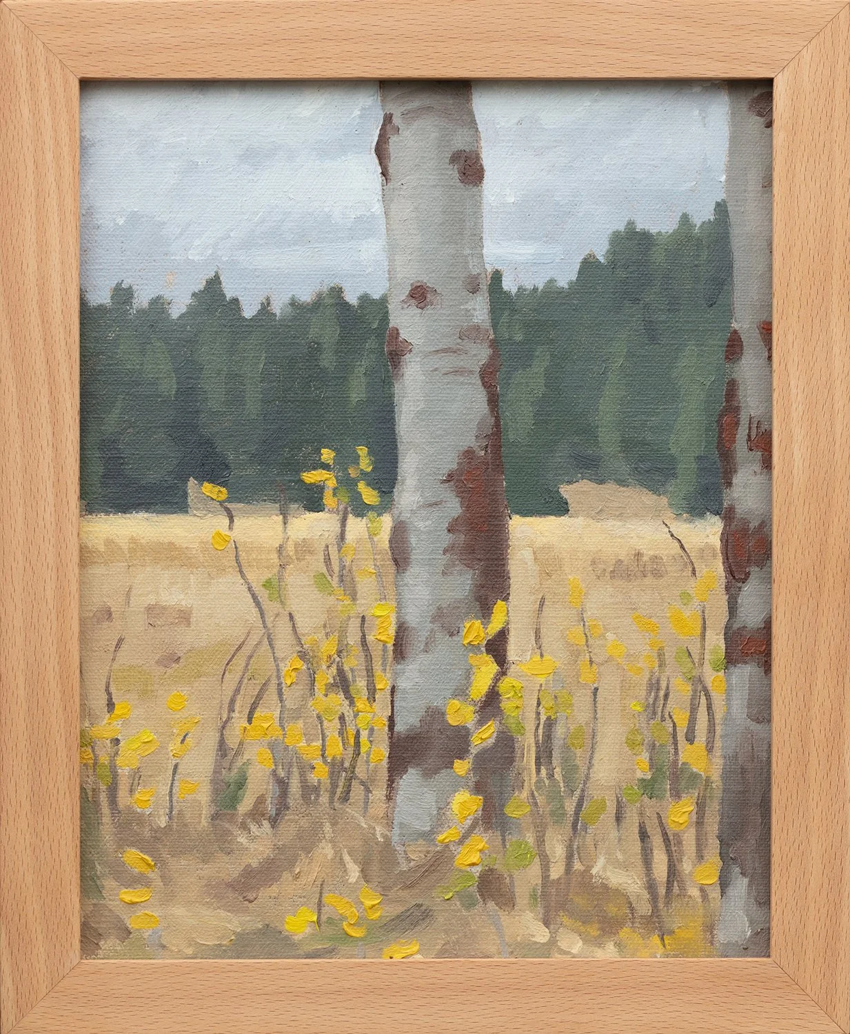 Aspen at Vesper Meadow, oil on mounted linen, 8" x 10", not for sale