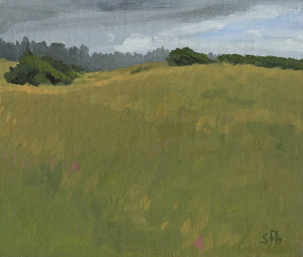 Clyfford Beach Grassy Area, Northern California, oil on panel, 10" x 12", sold
