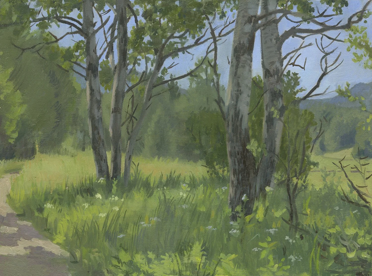 Birch Trees, New Hampshire, oil on panel, sold