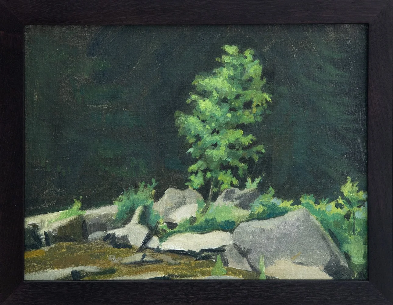 Tree Jackson NH framed.jpg