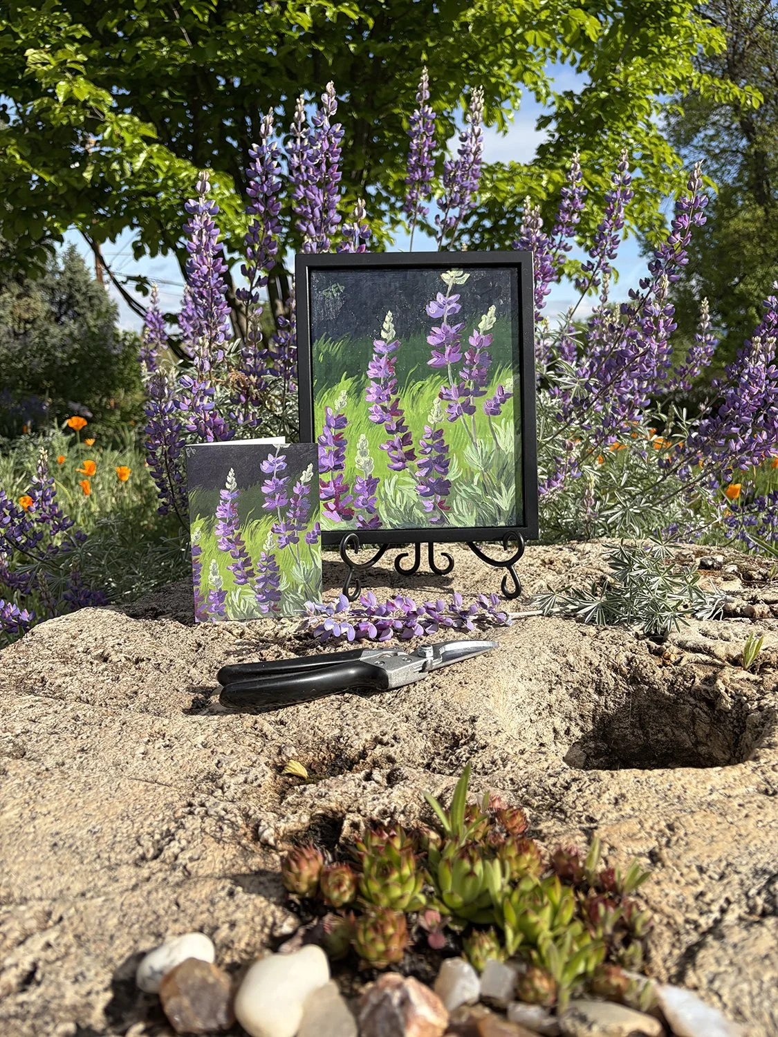 lupines vertical card and painting.jpg