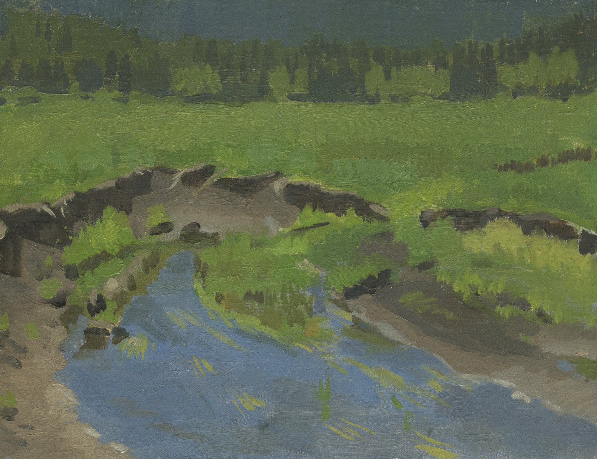 Bovine Beach 2019 web.jpg