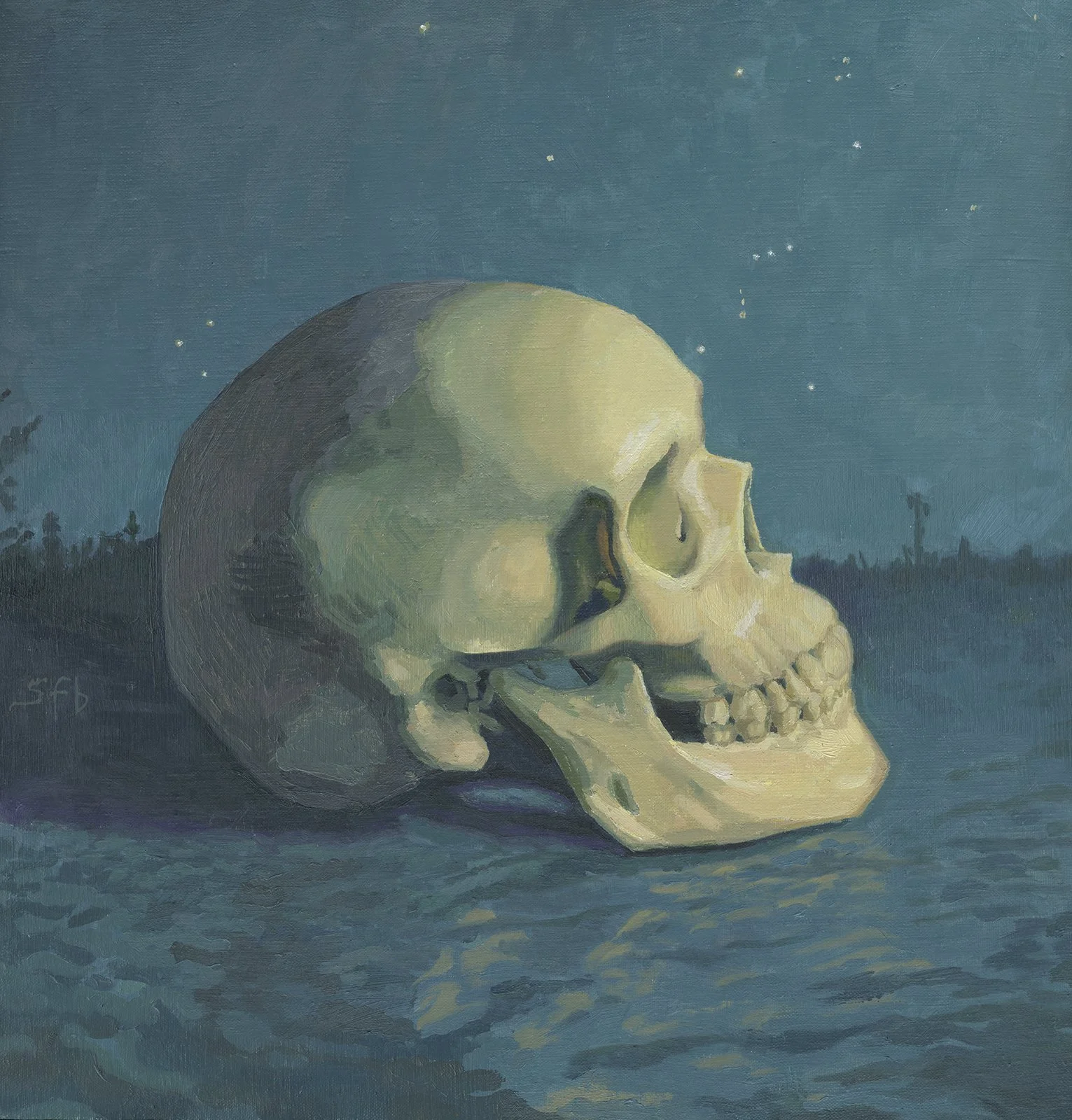 Night Skull web copy.jpg