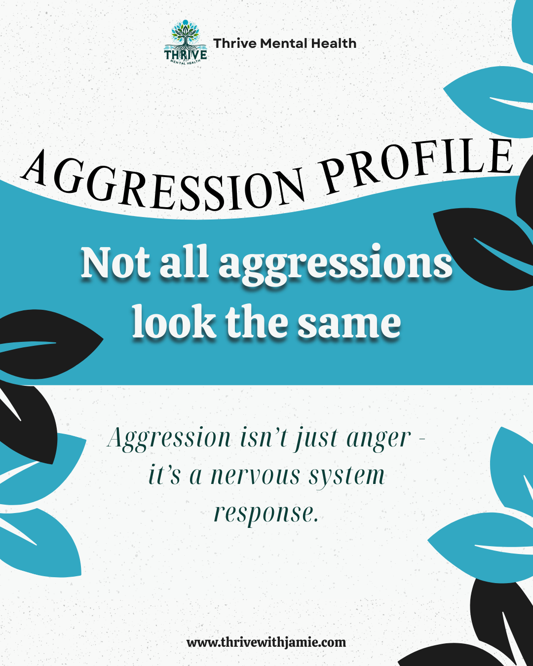 The Aggression Profile