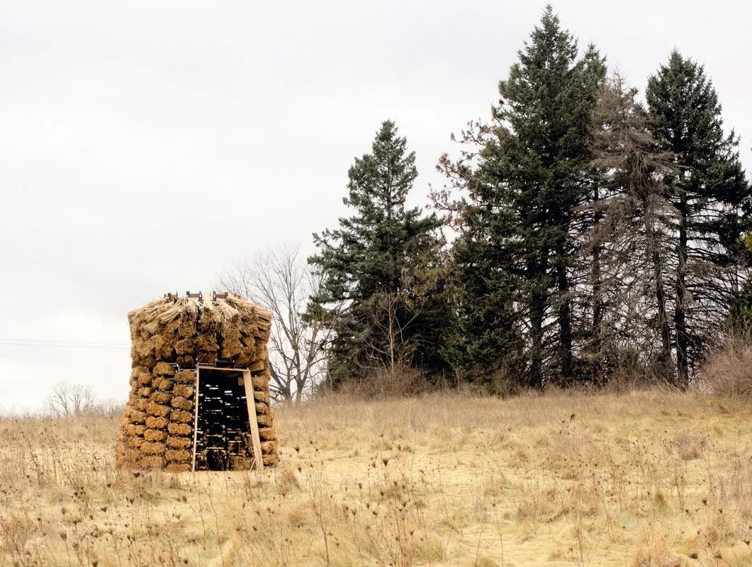 A haystack with a wooden ladder leaning against it in a field with tall grass, with tall evergreen trees in the background under an overcast sky.