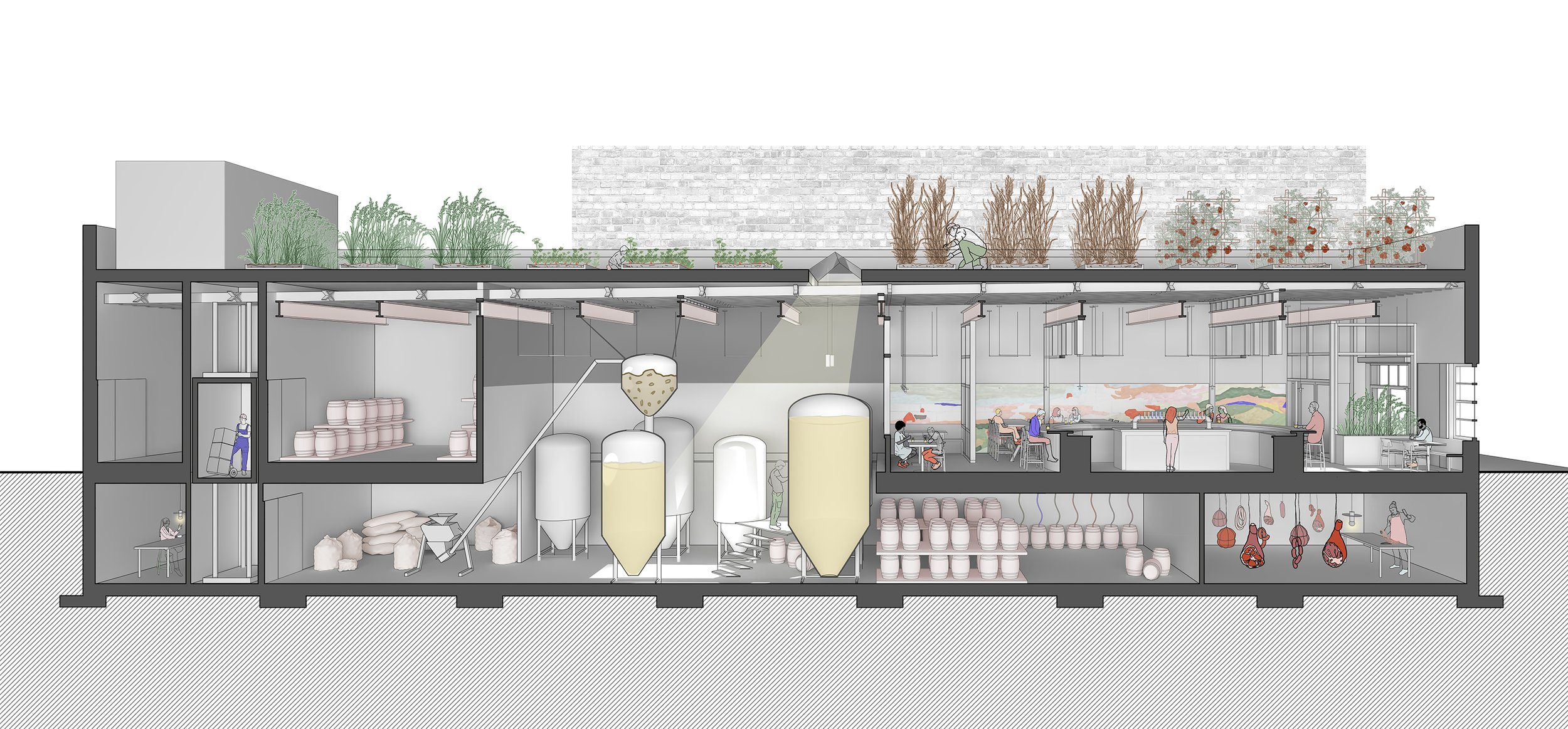 Cross-sectional illustration of a building with a rooftop garden and an underground brewery or distillery with tanks, barrels, and workers, showing different functional areas.